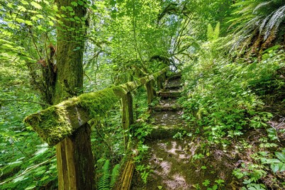 Chehalis Retreat w/ Scenic Views!