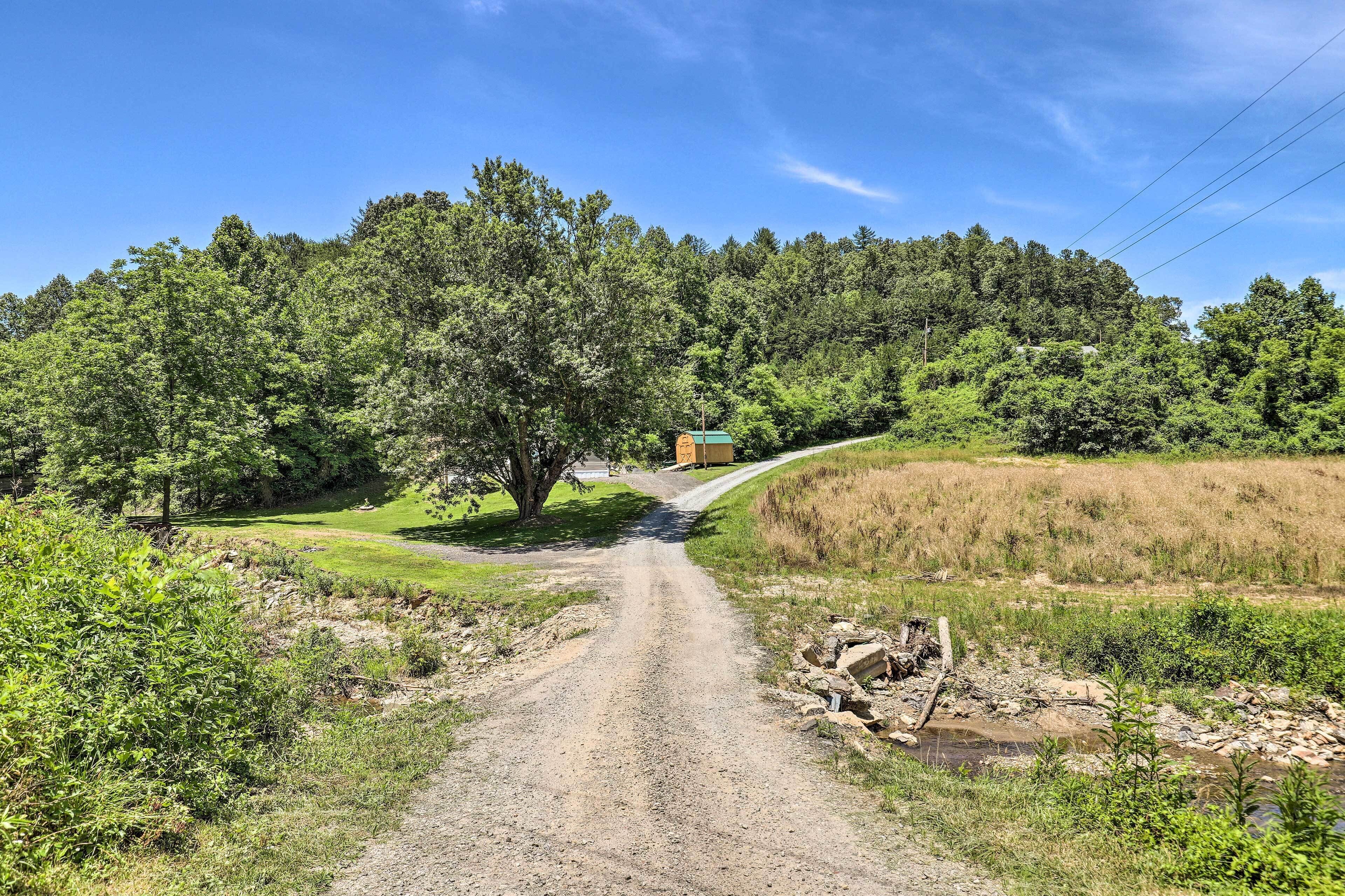Une route de campagne mène à un bâtiment doté d’un toit végétalisé, entouré d’une forêt dense et de champs couverts d’herbe.