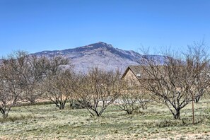 Casa (3 Bedrooms) | Interni