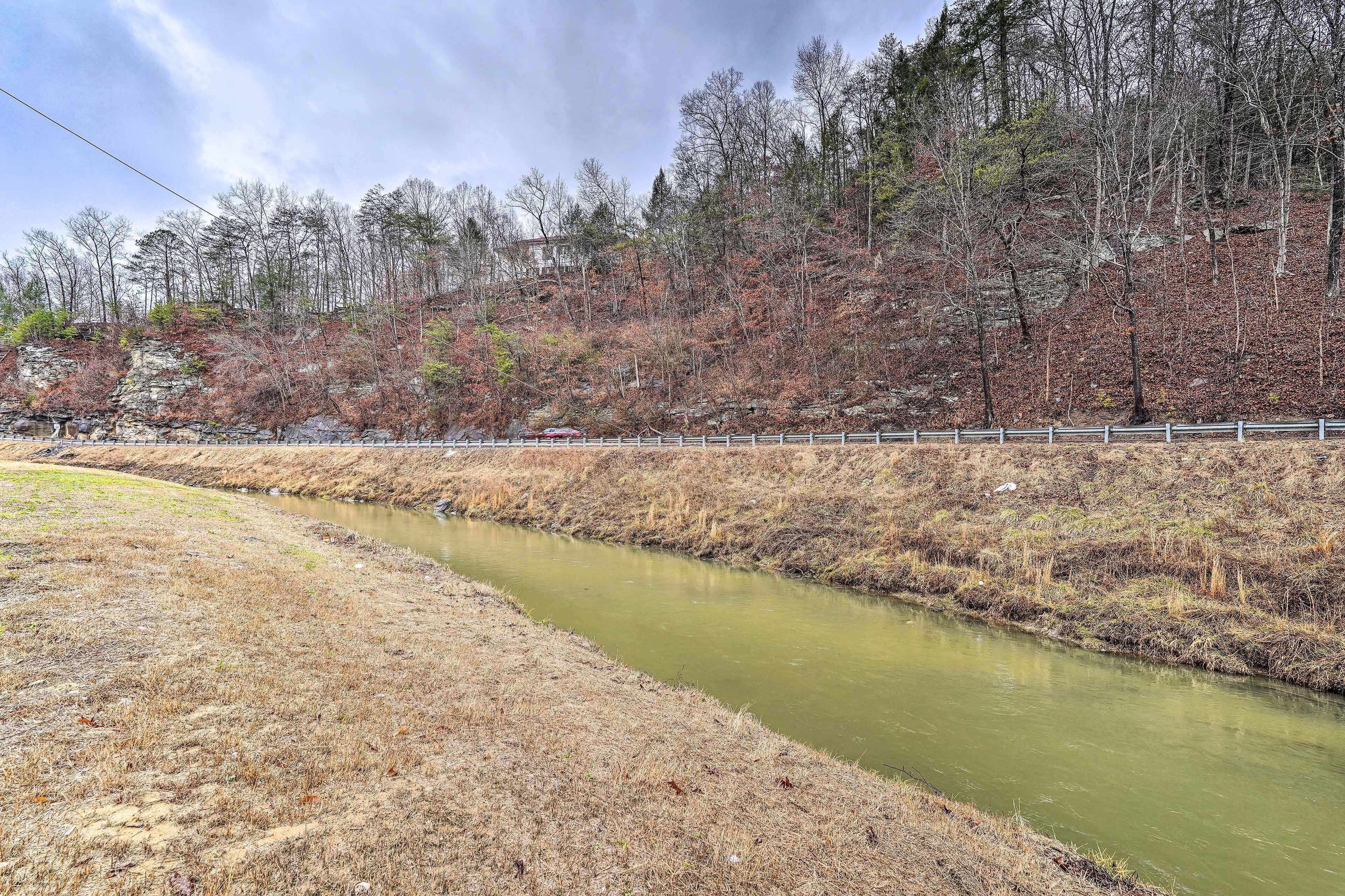 A river with a grassy bank and trees in the background.