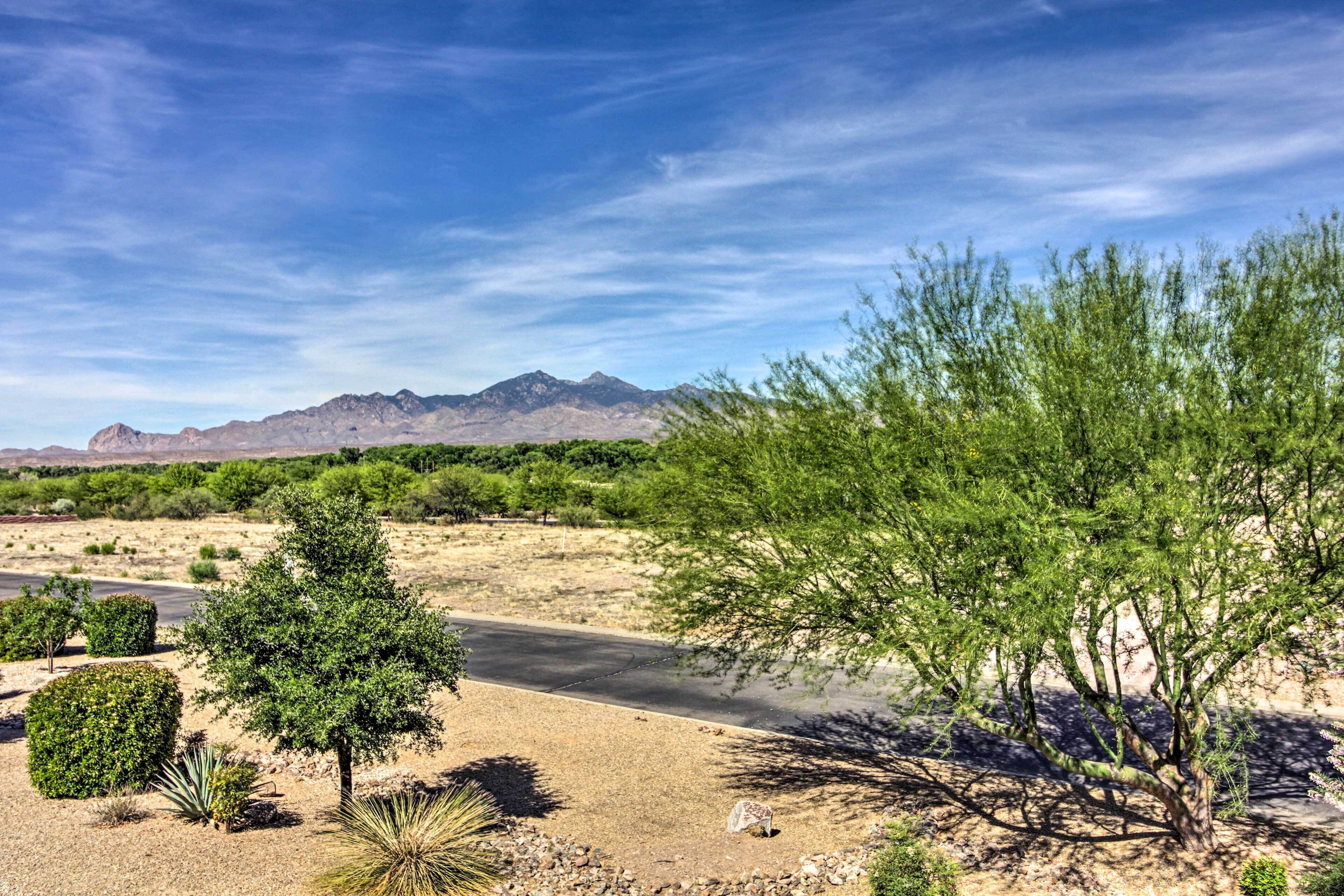 A desert landscape with a road, sparse vegetation, and mountains in the background.
