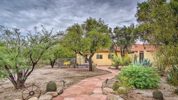 A garden with a paved walkway, cacti, and a yellow building with a red roof.
