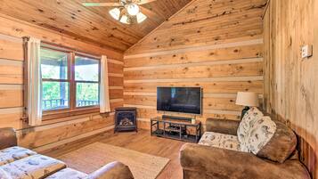 TV, fireplace, books