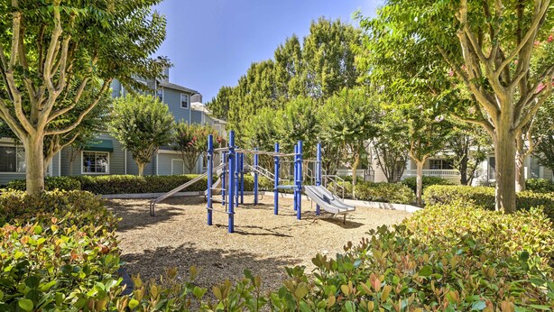 Apartment (1 Bedroom) | Interior - Bright Sunnyvale Condo w/ Community Pool! (Sunnyvale)