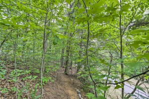 Interior - 'bumblebee Cottage' Murphy Retreat w/ Hot Tub (Murphy)