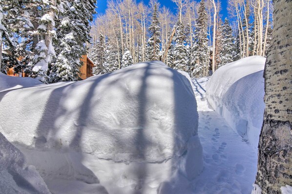 Departamento (2 Bedrooms) | Interior