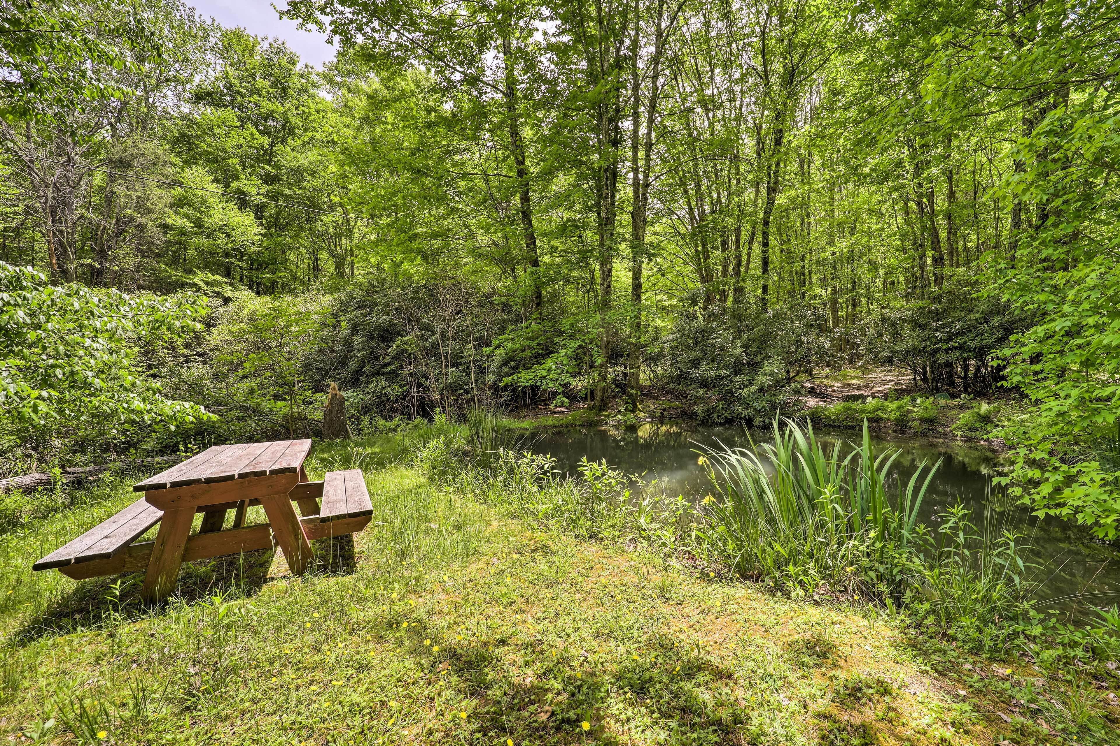 A picnic table in a forested area with a pond.