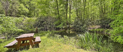 A picnic table in a forested area with a pond.