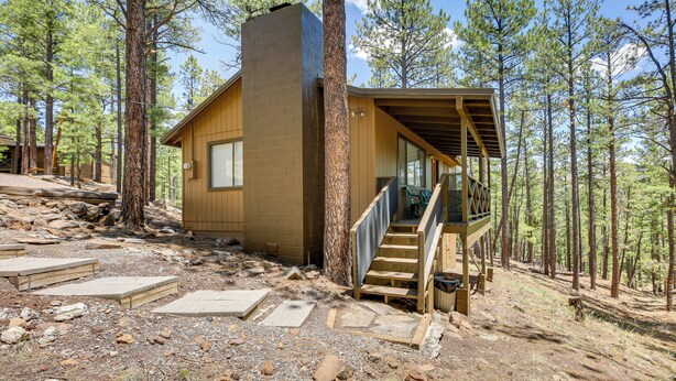 Une cabane avec une façade en bois, une cheminée et un escalier menant à une terrasse.