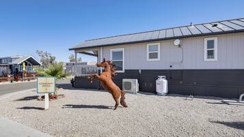 Nhà (1 Bedroom) | Nội thất