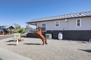House (1 Bedroom) | Interior