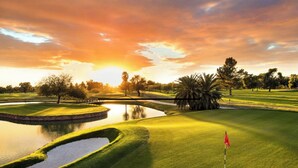 Un parcours de golf avec un étang, un drapeau et des arbres.