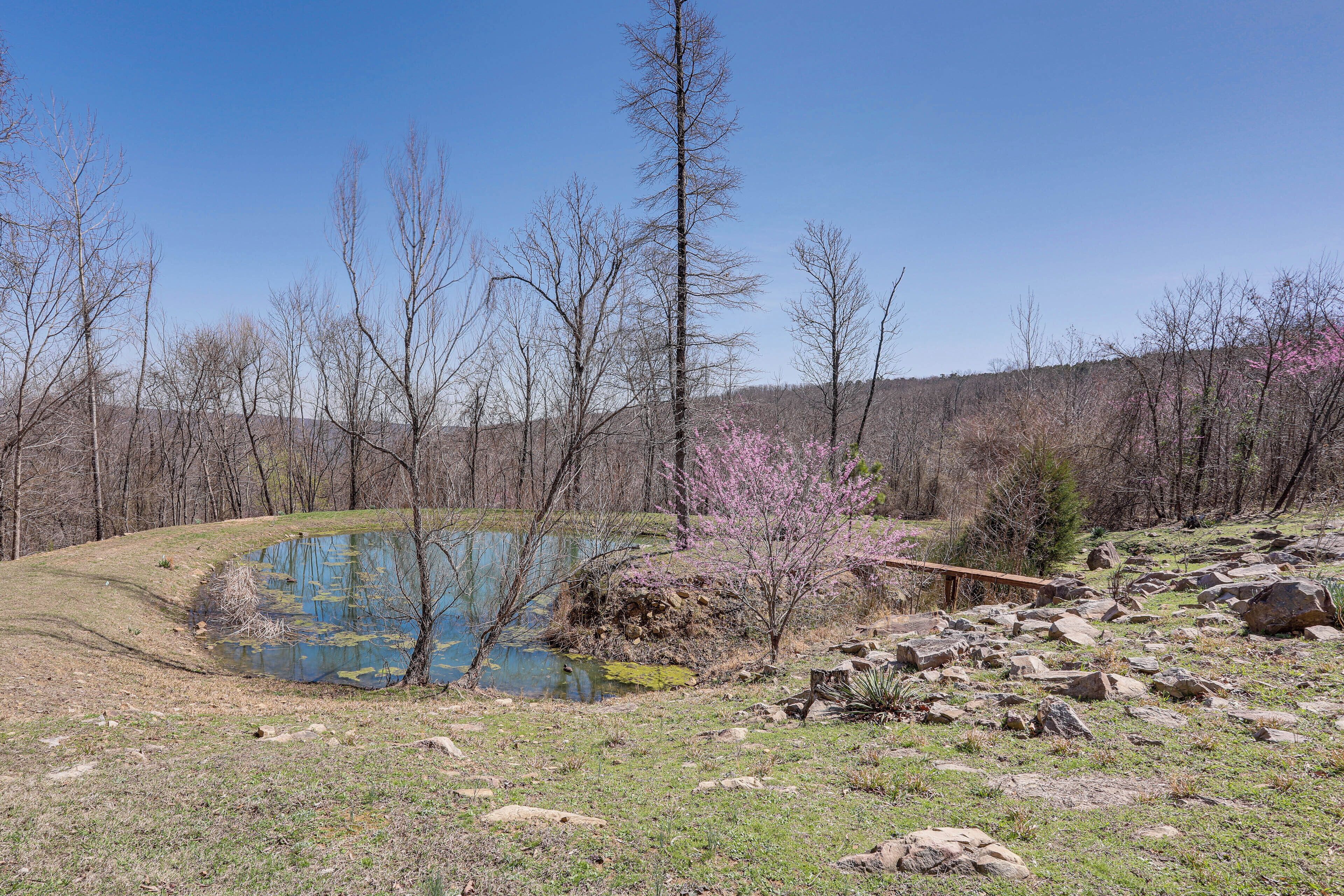 A natural landscape with a pond, trees, and a wooden bridge.