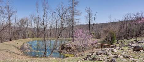 A natural landscape with a pond, trees, and a wooden bridge.