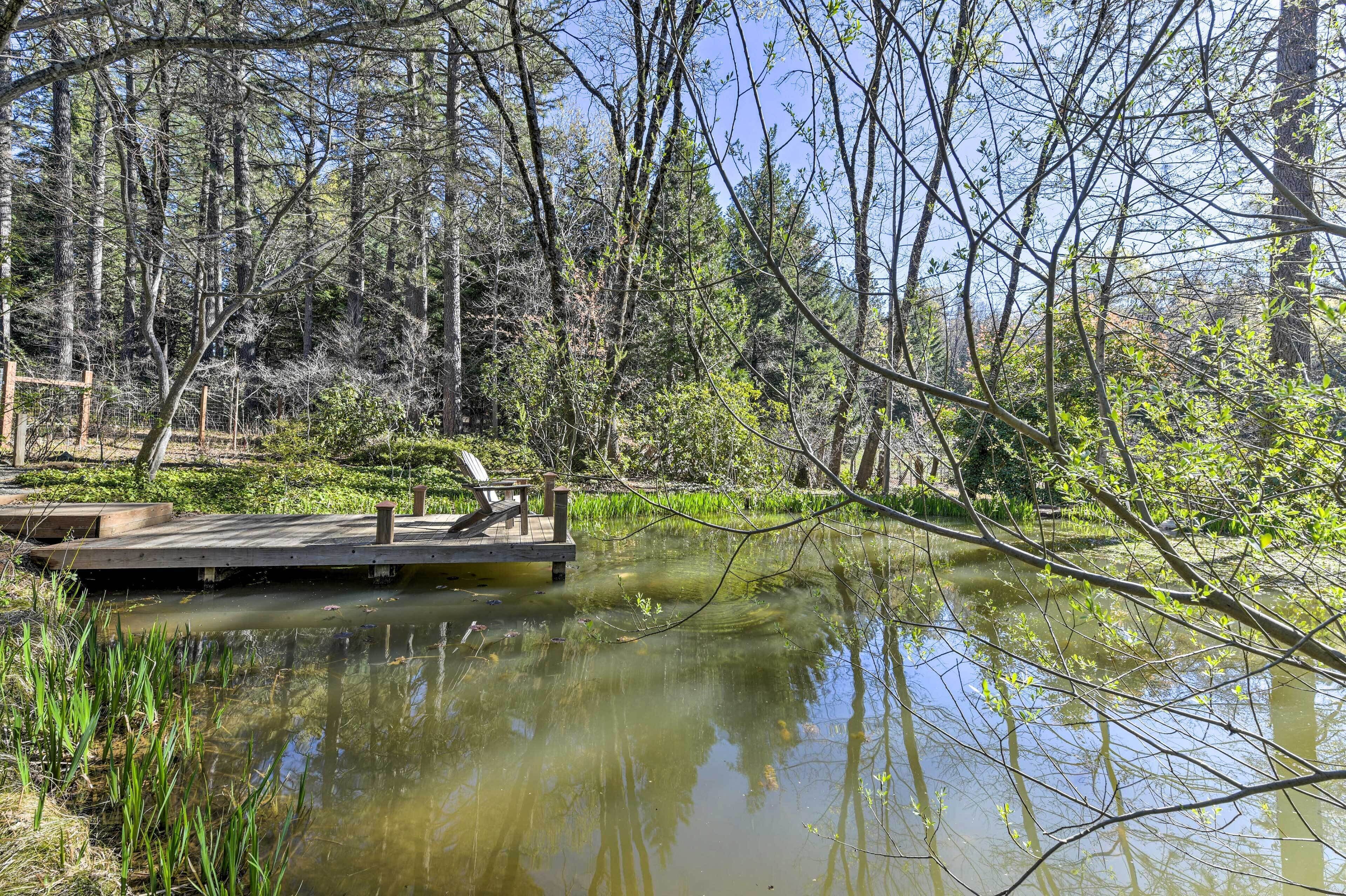 A wooden dock extending into a pond surrounded by trees and vegetation.