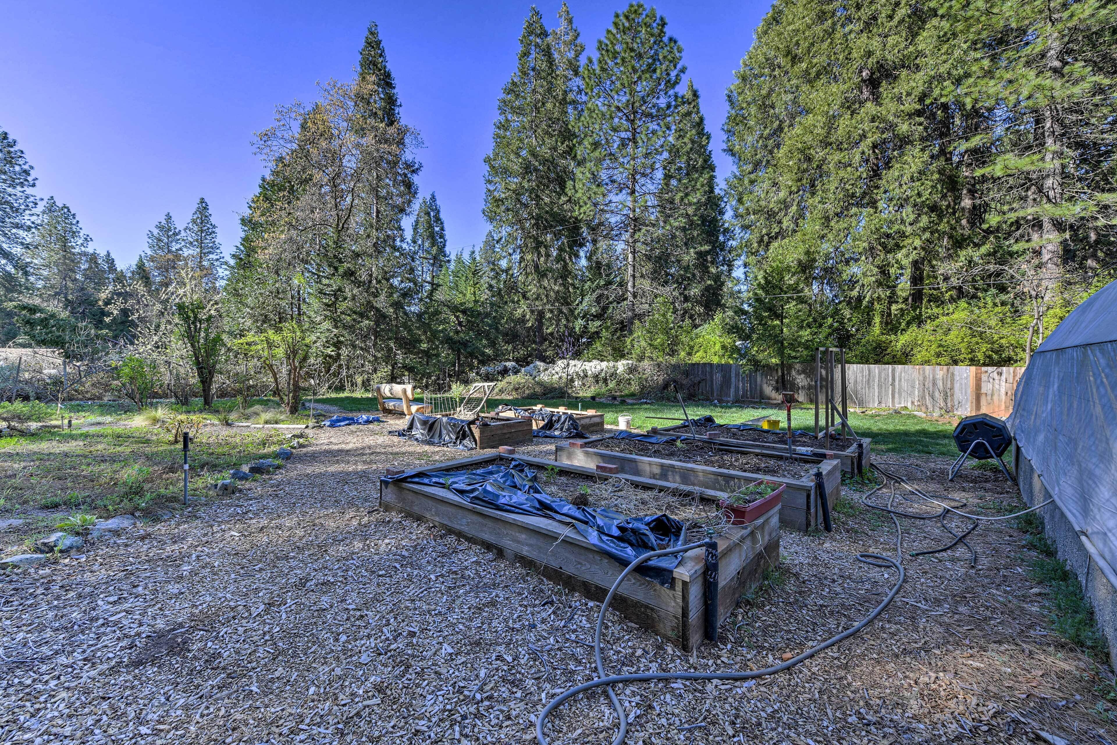 A garden with raised beds, a wooden structure, and a hose.