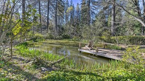 A forested area with a pond, a wooden dock, and a chair. - Peaceful Cottage w/ Grill & Yard in Grass Valley! (Grass Valley)