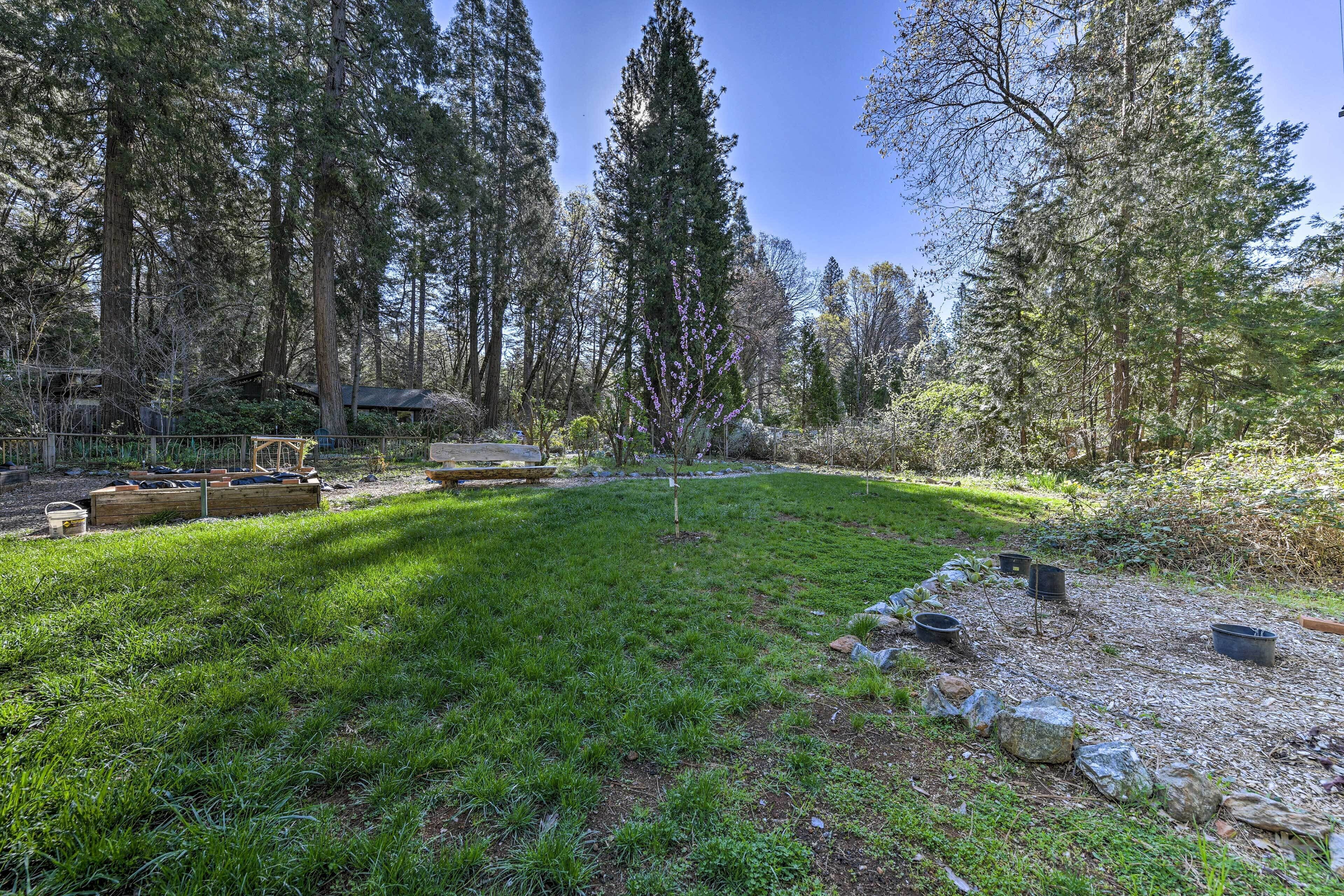 A well-maintained garden with a variety of trees, a grassy lawn, and a wooden deck.
