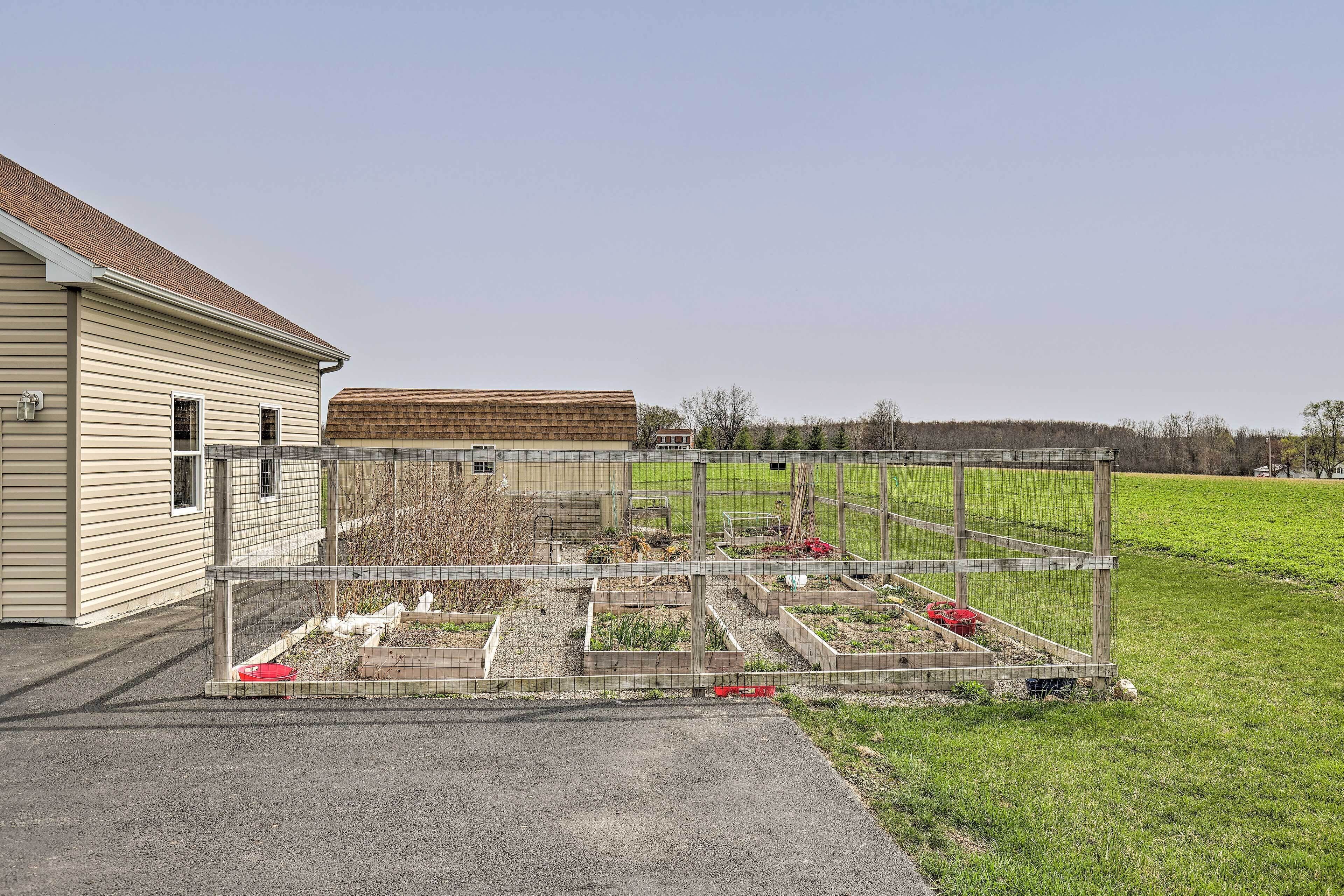 Apartment (0 Bedroom) | Interior