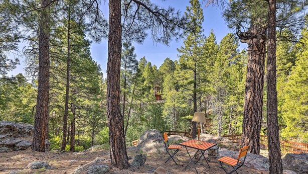 A forested area with a wooden table and chairs, surrounded by large trees and rocks.