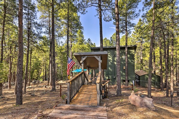 A rustic cabin with a wooden staircase leading to a covered porch, surrounded by tall pine trees.