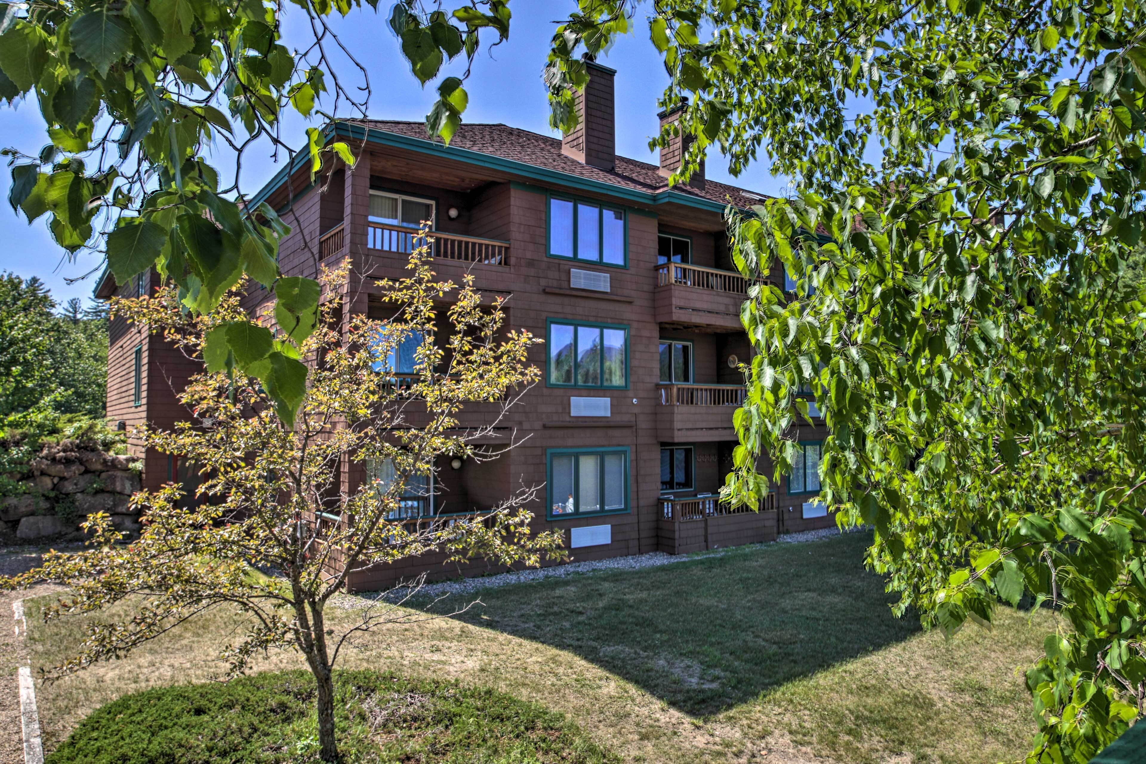 A multi-story brick building with balconies, a lawn, and a tree in the foreground.