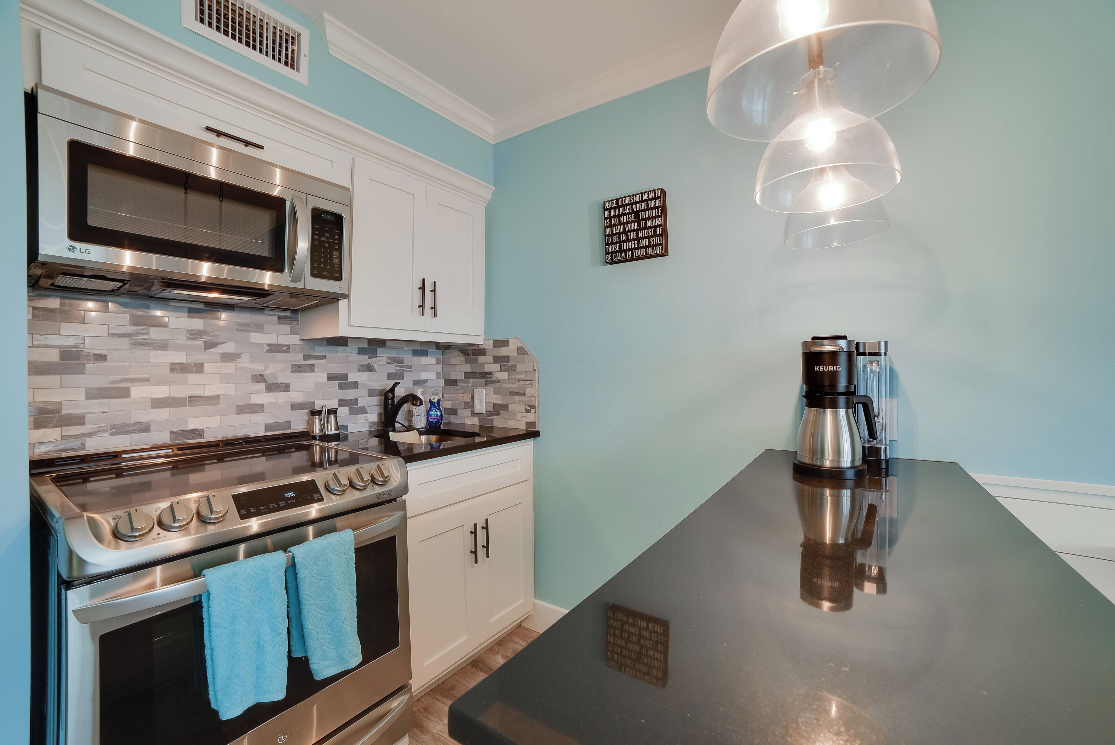 A modern kitchen with stainless steel appliances, a black countertop, and a blue wall.