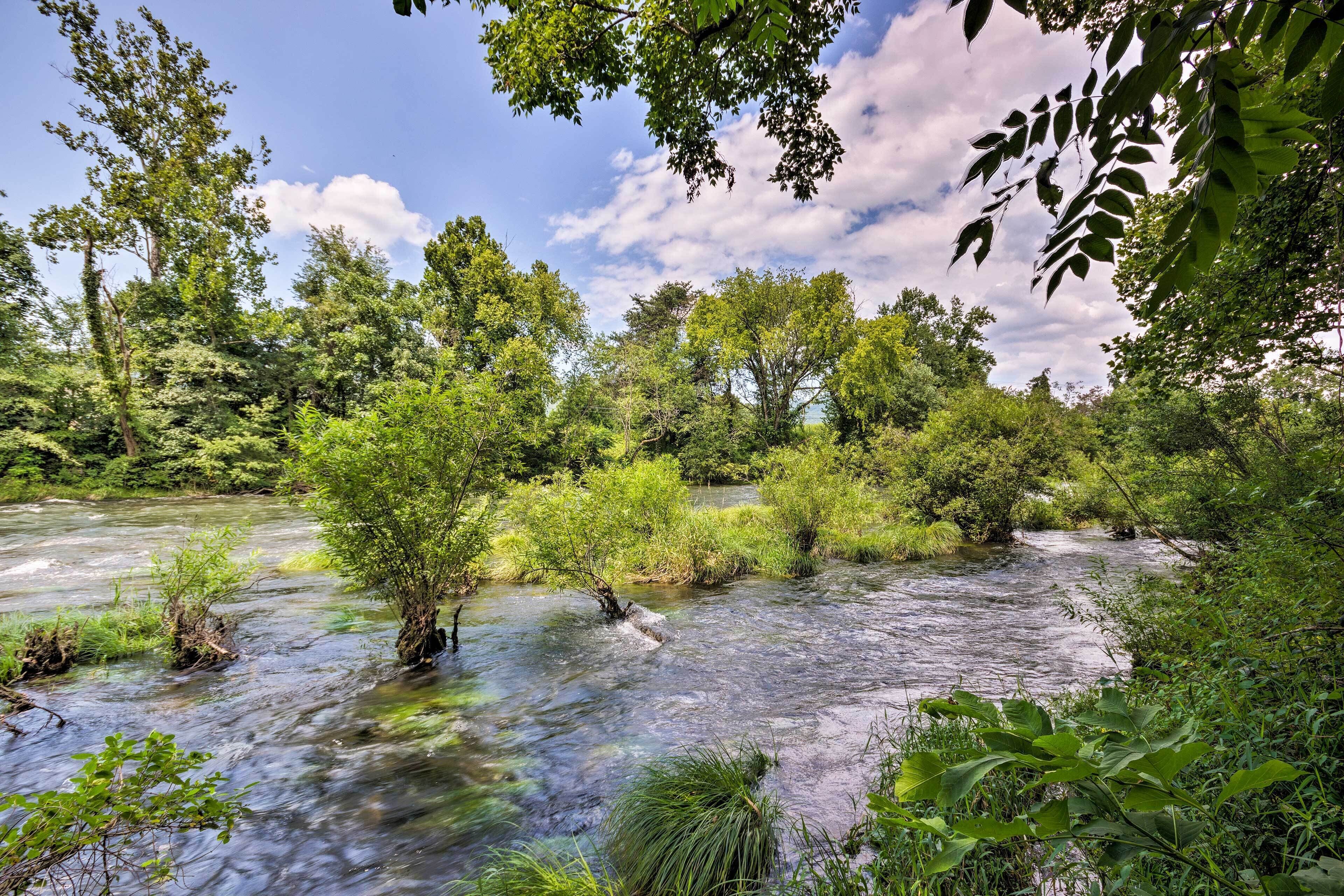 Un río serpenteando por una zona boscosa, con abundante vegetación y árboles.