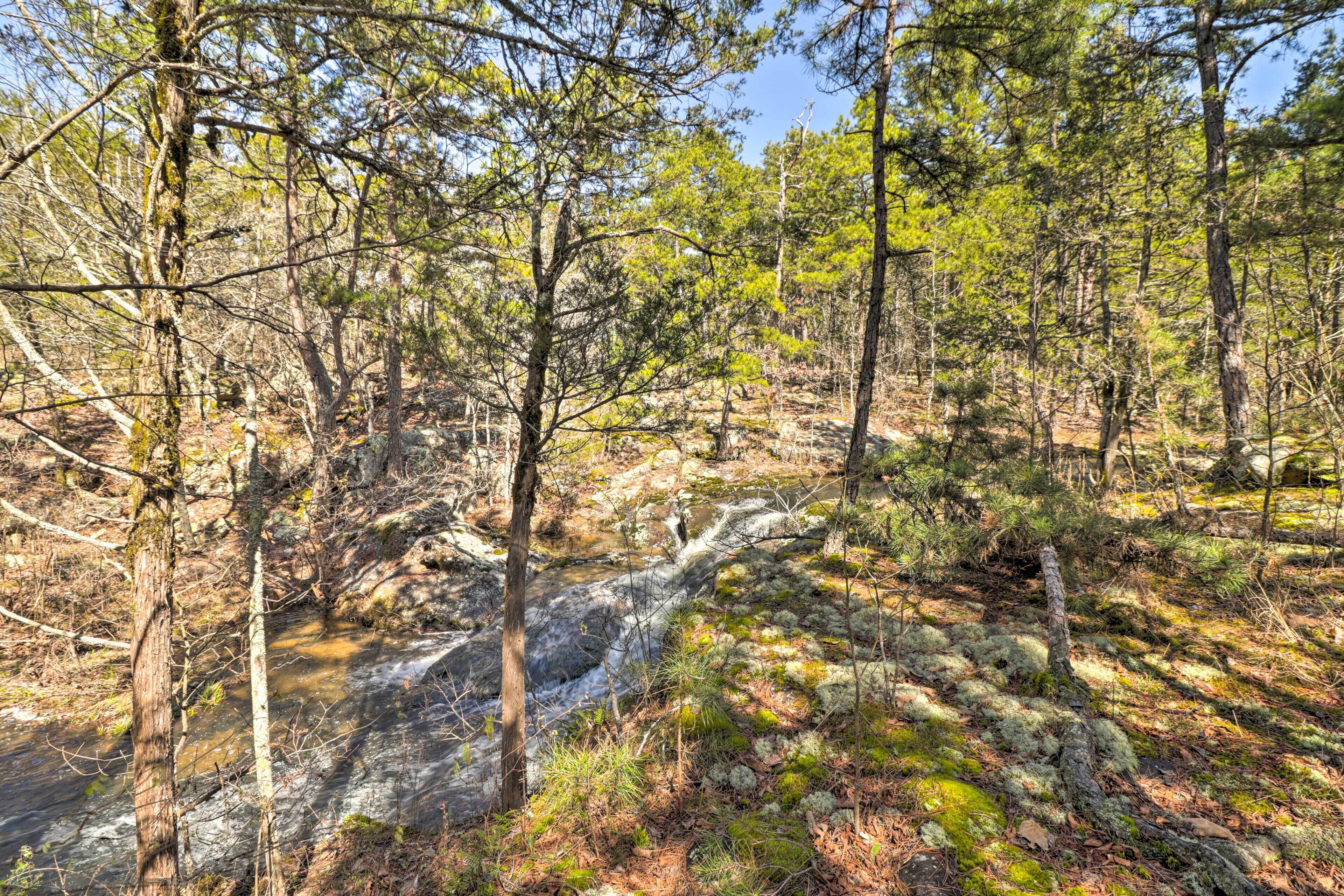 Un área boscosa con un arroyo, árboles y terreno rocoso.