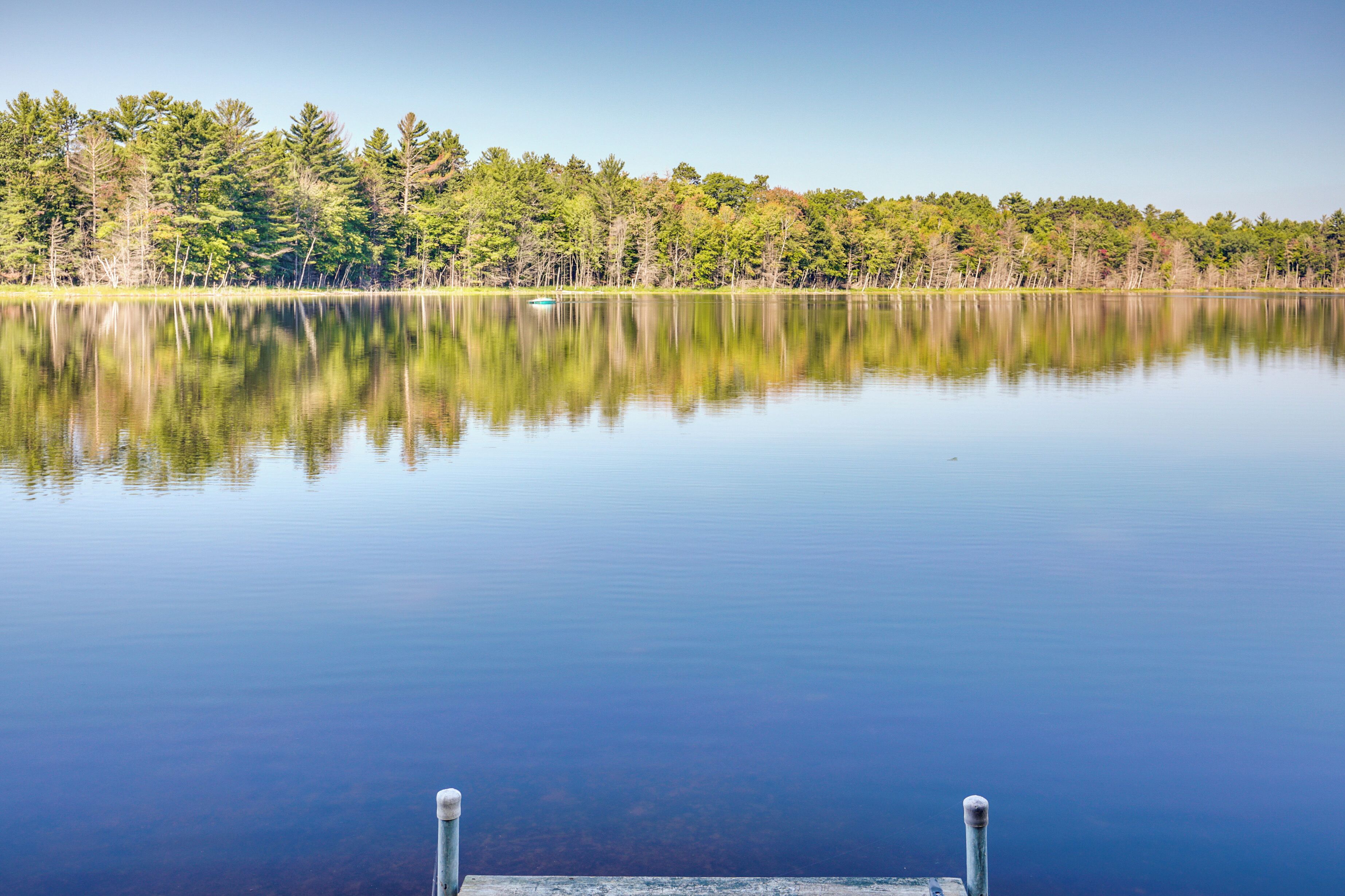 A calm lake with a dock extending into the water, surrounded by dense trees.