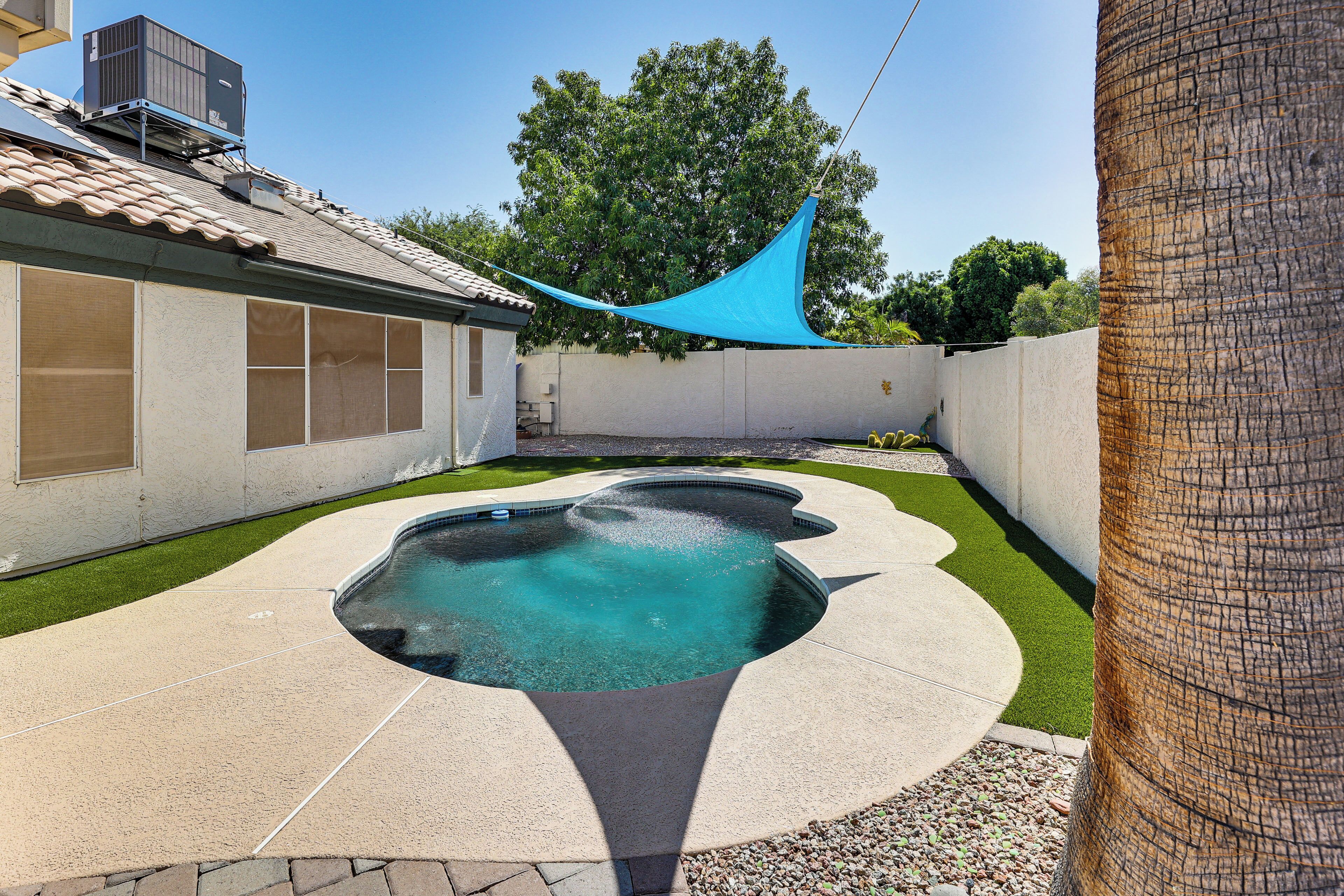 Un jardin avec une piscine, une voile d’ombrage bleue et un palmier.