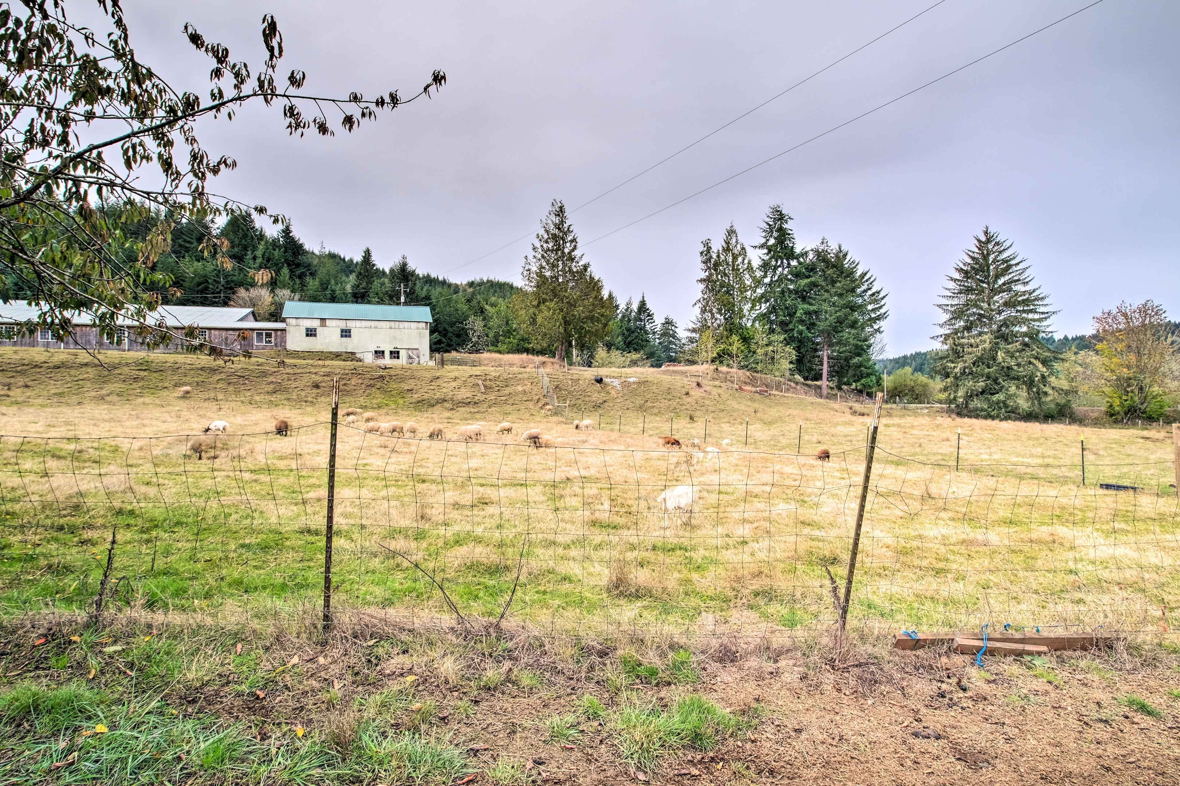 A fenced pasture with grazing animals, a building with a green roof, and trees in the background.