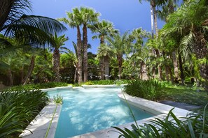 Una piscina rodeada de exuberante follaje y altas palmeras.