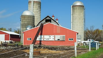 ุงูู
ูุดุฃุฉ ู
ู ุงูุฏุงุฎู