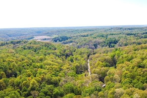 A dense forest with a river running through it. - Idyllic Southern Indiana Cabin Near Patoka Lake! (Taswell)