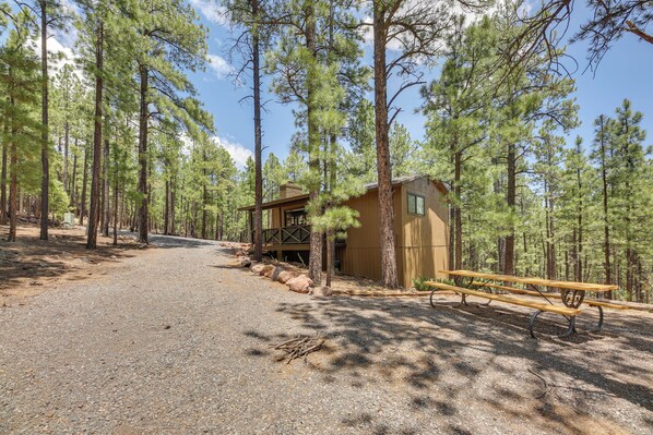 A rustic cabin with a gravel path leading to it, surrounded by tall pine trees.