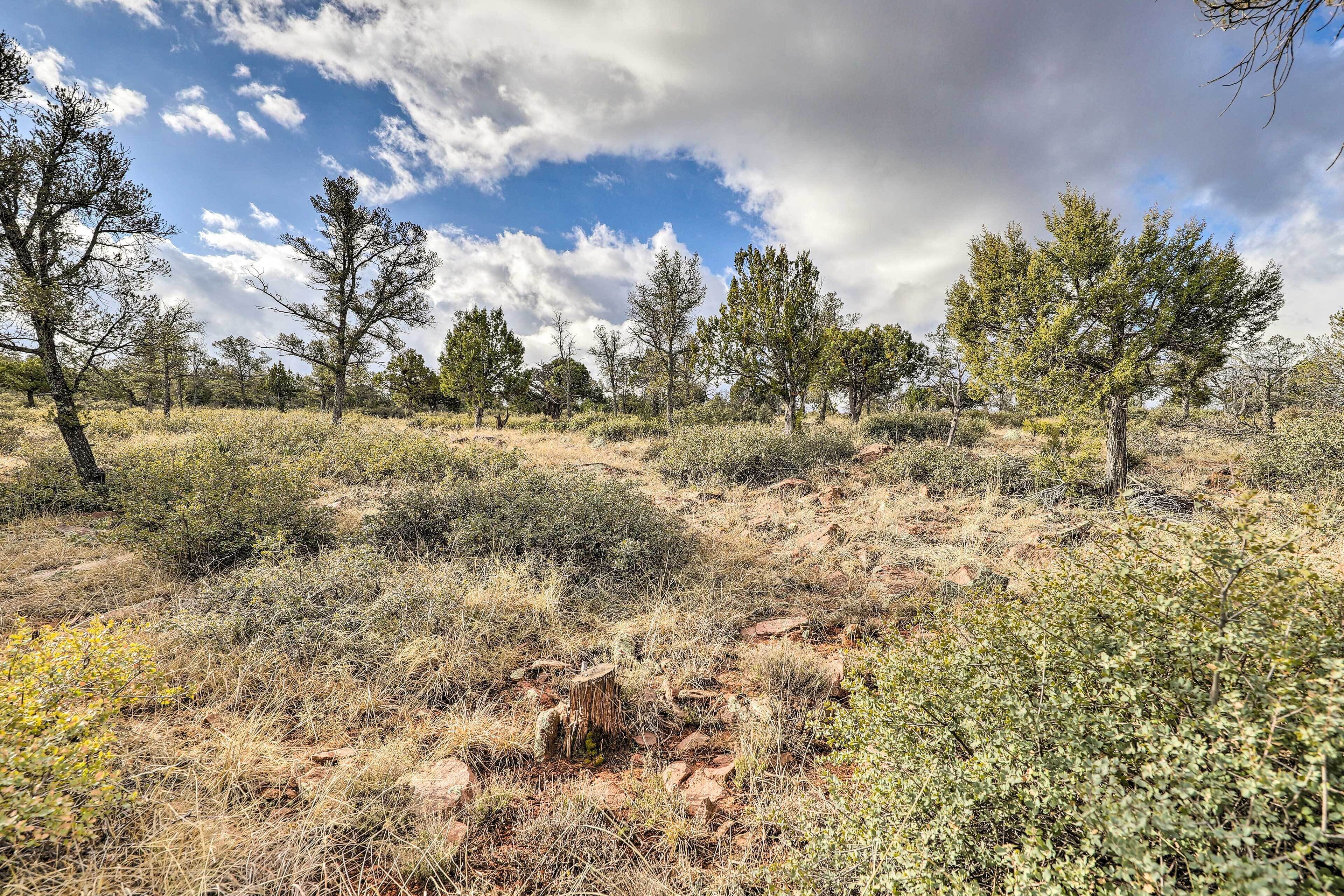 Apartment (0 Bedroom) | Interior