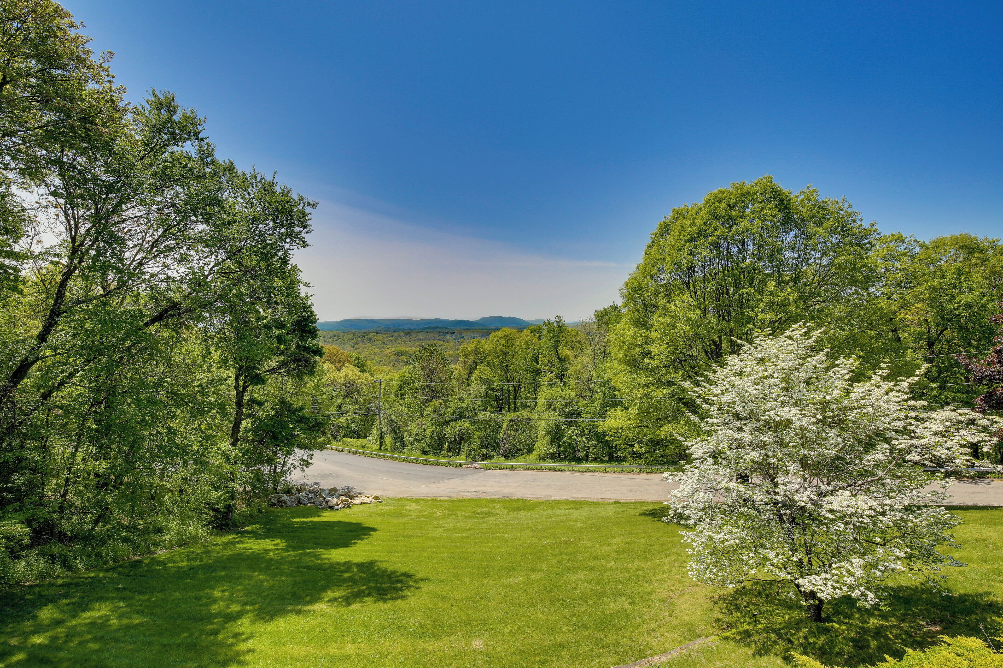 A grassy area with trees and a clear sky.