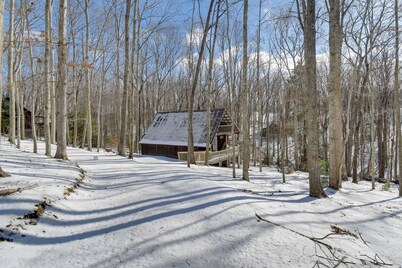 3 Mi to Cave Run Lake! Nature-centric Family Cabin