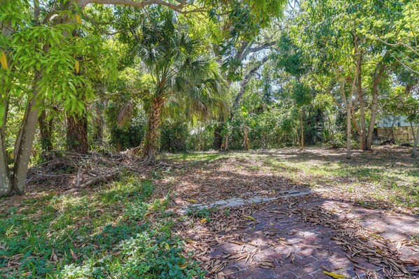 A paved pathway through a lush, green area with trees and foliage.