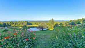 Un paysage naturel avec un étang, des arbres et un ciel dégagé.