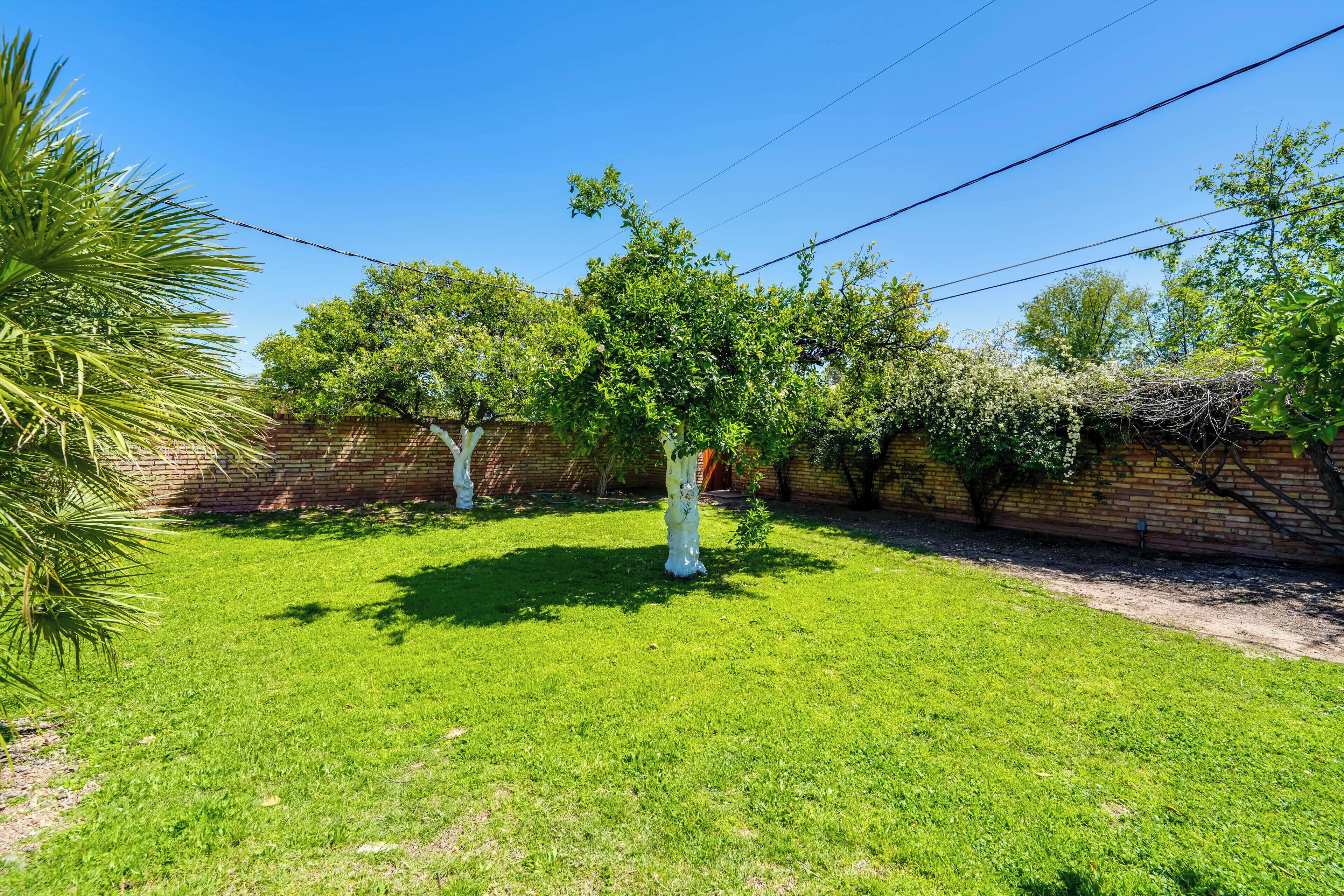 Appartement (0 Bedroom) | Intérieur