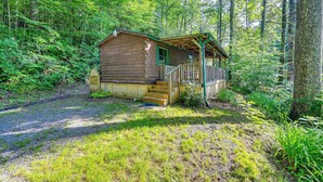 A log cabin with a porch and steps leading to a door, surrounded by dense forest.