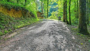 A gravel path leading to a wooden cabin in a forest.