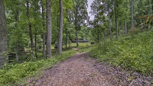 Un sentier bordé d’arbres qui mène à une maison entourée de grands arbres.