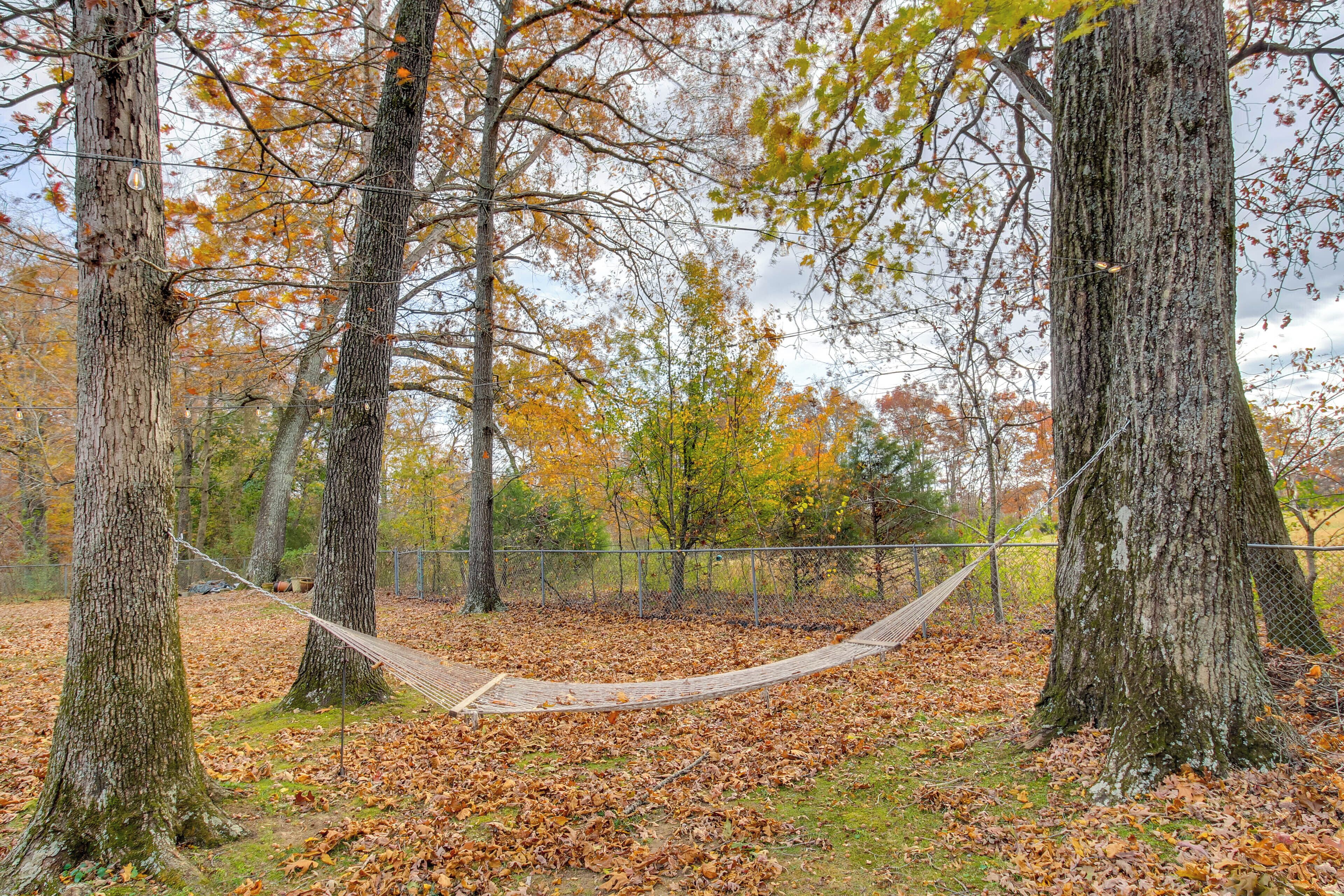 A hammock between trees in a wooded area with a fence in the background.