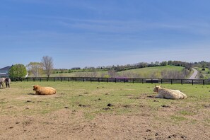 Casa (5 Bedrooms) | Interior