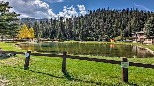 Unclassified image, 1 of 36, button - Cozy Red River Alpine Condo w/ Mountain Views (Red River)