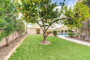 A well-maintained garden with a tree bearing fruit, a swimming pool, and a house in the background. - Peoria Vacation Rental w/ Pool & Hot Tub! (Peoria)