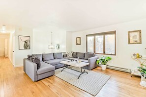 TV, fireplace, books